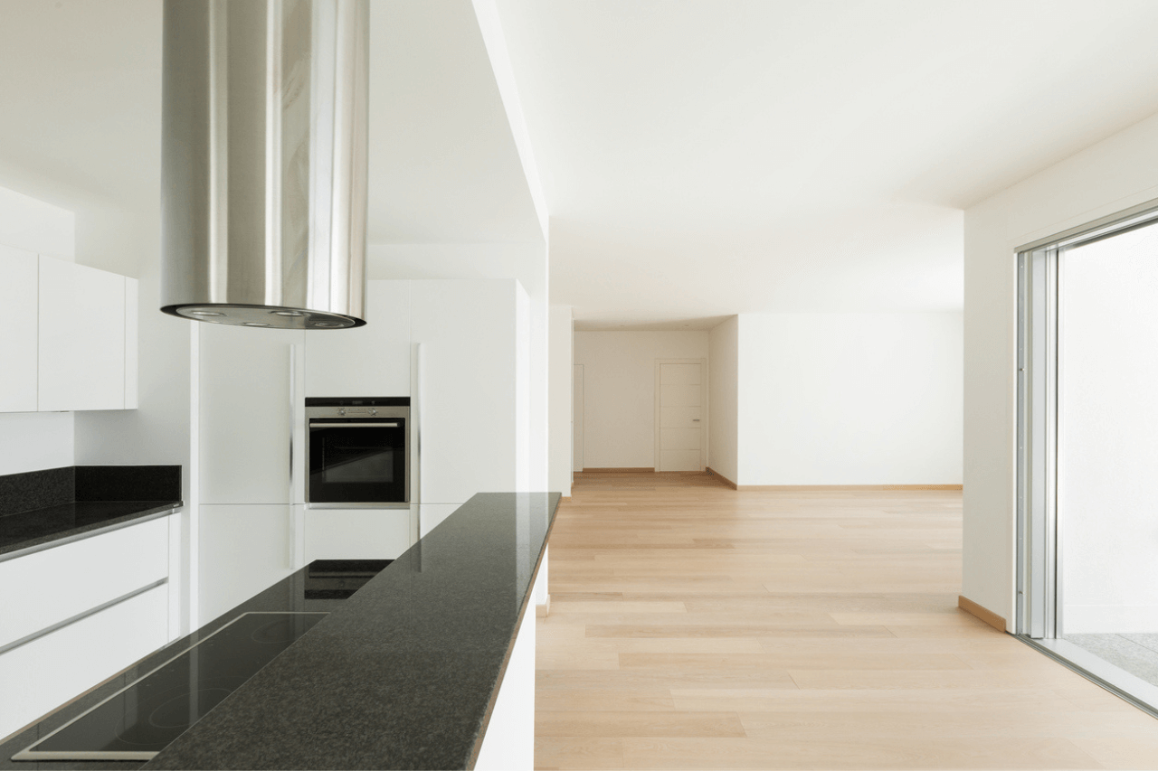Interior, empty domestic kitchen of a modern apartment